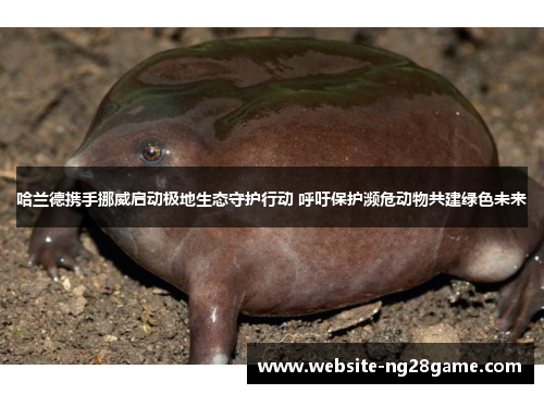哈兰德携手挪威启动极地生态守护行动 呼吁保护濒危动物共建绿色未来