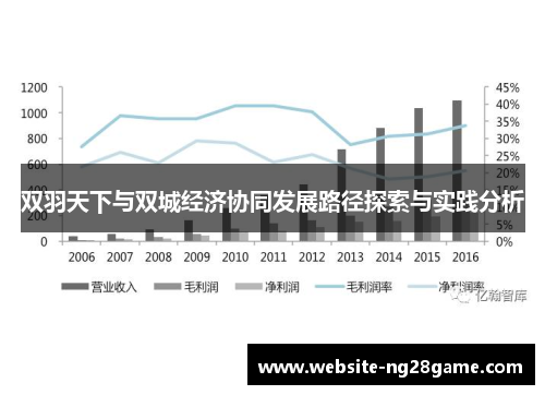 双羽天下与双城经济协同发展路径探索与实践分析