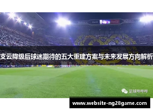 支云降级后球迷期待的五大重建方案与未来发展方向解析