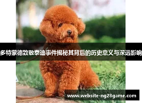 多特蒙德致敬泰迪事件揭秘其背后的历史意义与深远影响