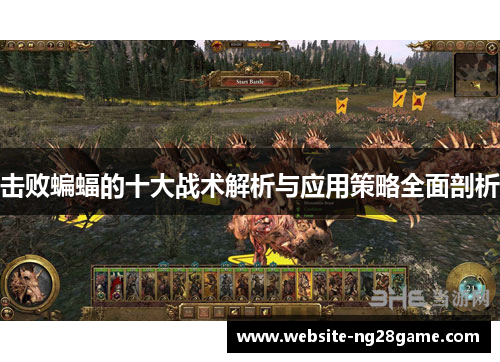击败蝙蝠的十大战术解析与应用策略全面剖析