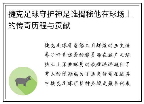 捷克足球守护神是谁揭秘他在球场上的传奇历程与贡献