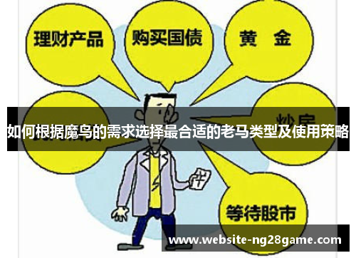 如何根据魔鸟的需求选择最合适的老马类型及使用策略